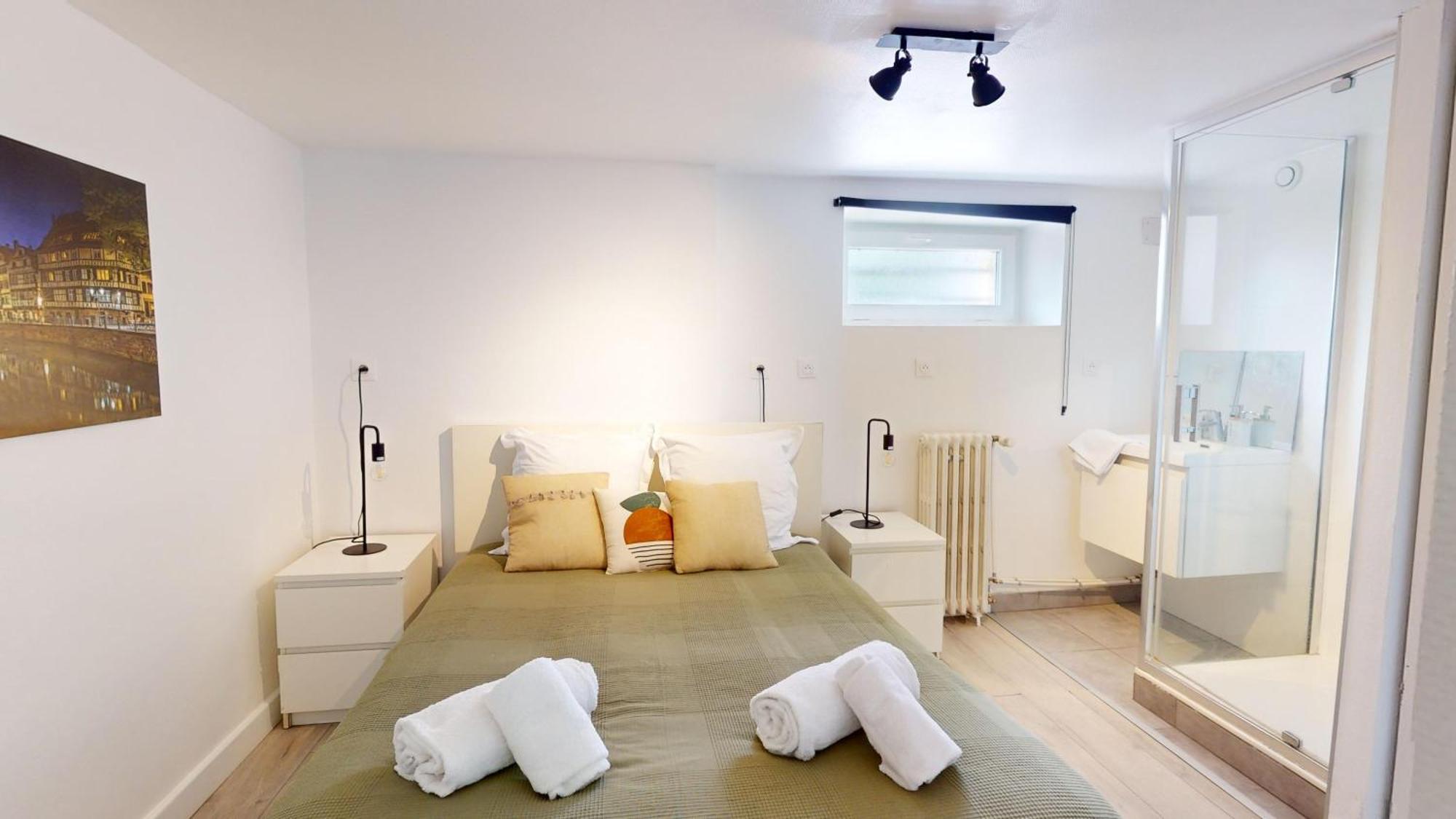 Les Appartements Du General Uhrich - Proche Parlement Strasbourg Luaran gambar